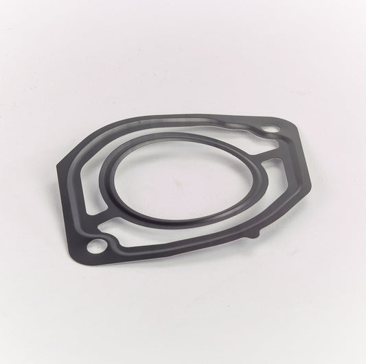 Gasket EGR Valve: 400/01930